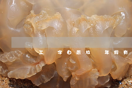 員工簽字自愿放棄年假有效嗎？
